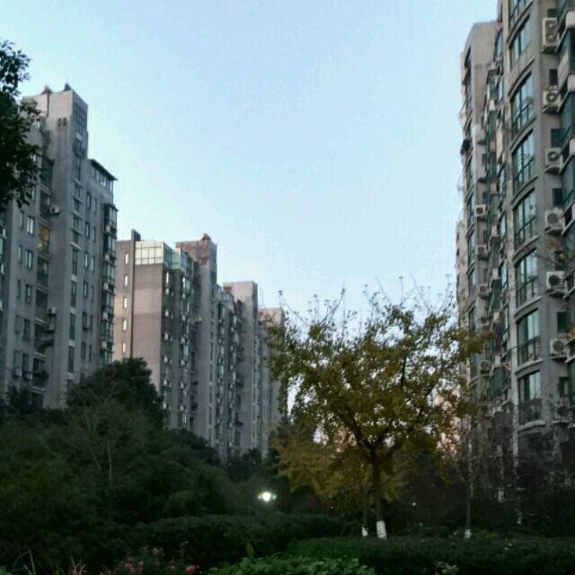 1566492 陈布丁