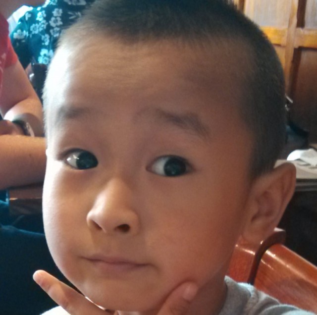 1566533 yzh