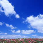 1566632 ︶ㄣ芸★笑～
