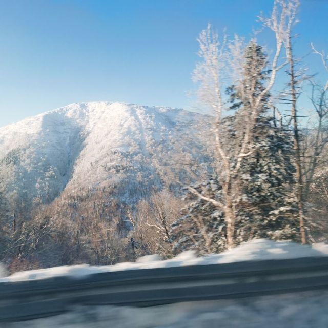 1567619 冰雪儿-14
