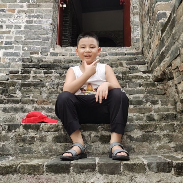 1567895 高調的絢麗