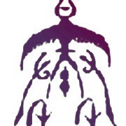 1568908 zyqin