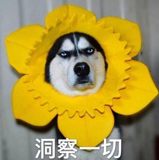 1569877 