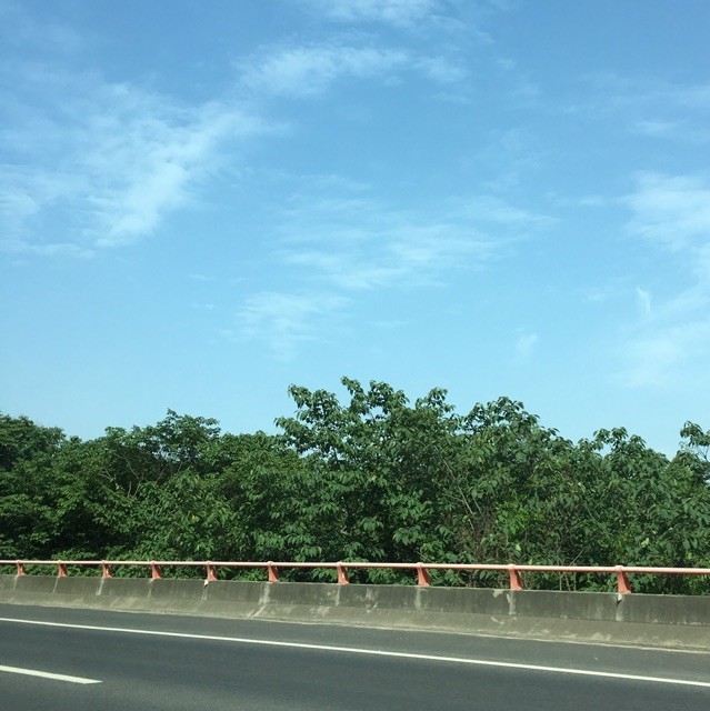 1570161 晨风