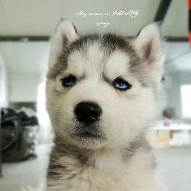1570430 luckyw