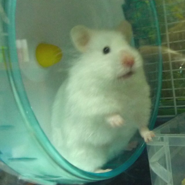 1571207 鱼取鱼求