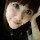 1571396 imOTT