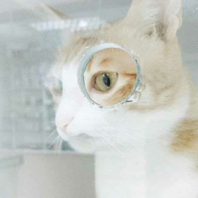 1573418 网混李耀阳