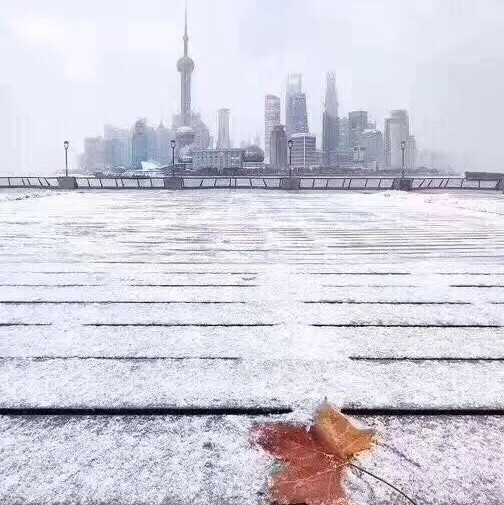1573586 无聊的加菲