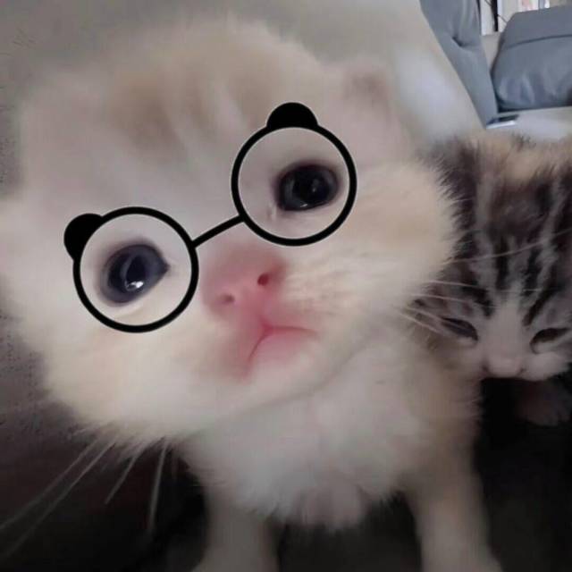 157360 咖啡