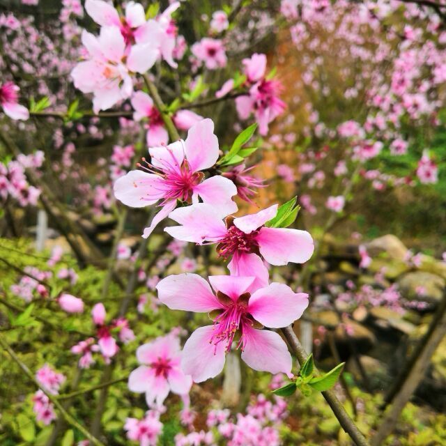 1573674 Jen_chen