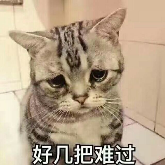 157435 转角遇见谁
