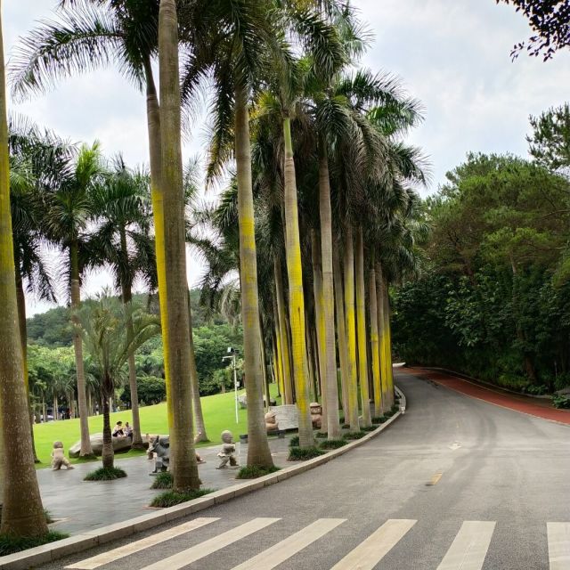1574378 看不见の距離