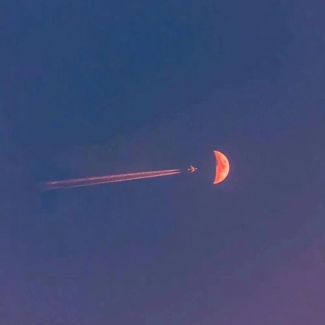 157508 鬼脚七