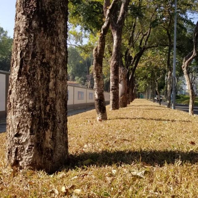 157551 蜡笔小生