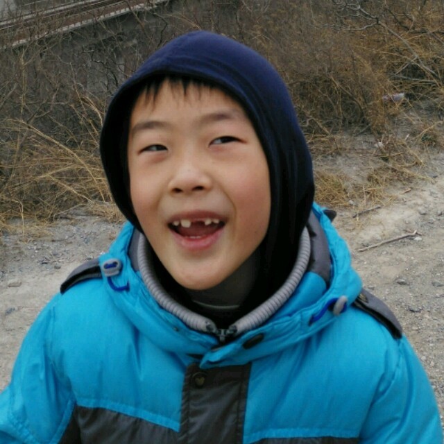 157557 一团乱毛