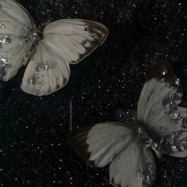 1575587 尚居专业背景墙