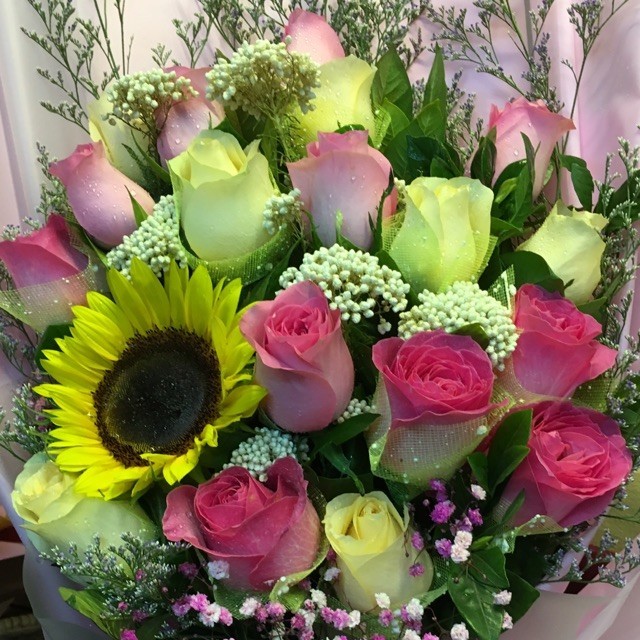 1575746 花花鱼
