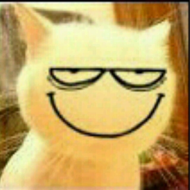 1575955 猴子