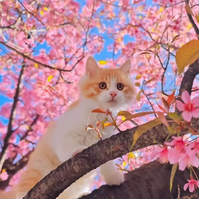 1576587 寶貝兒