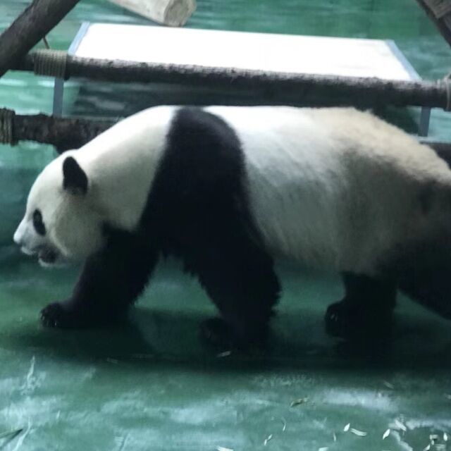1576619 李坏
