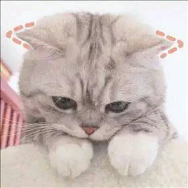 1576660 孤