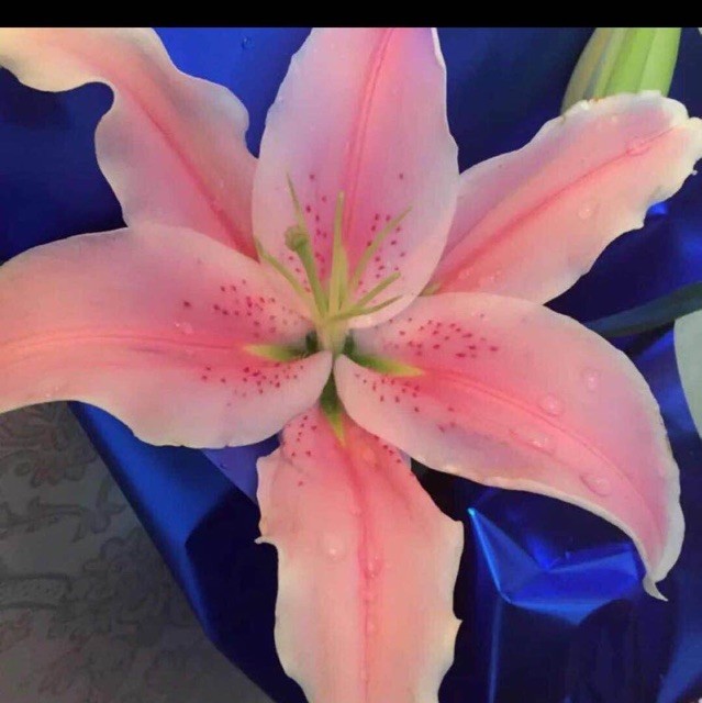 1577375 风清云淡