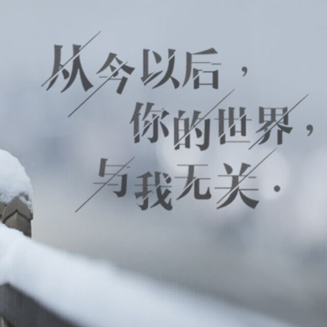 1578158 岁月°