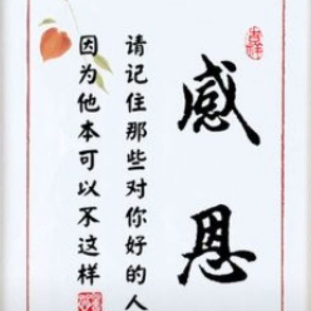 1578226 九天星缘
