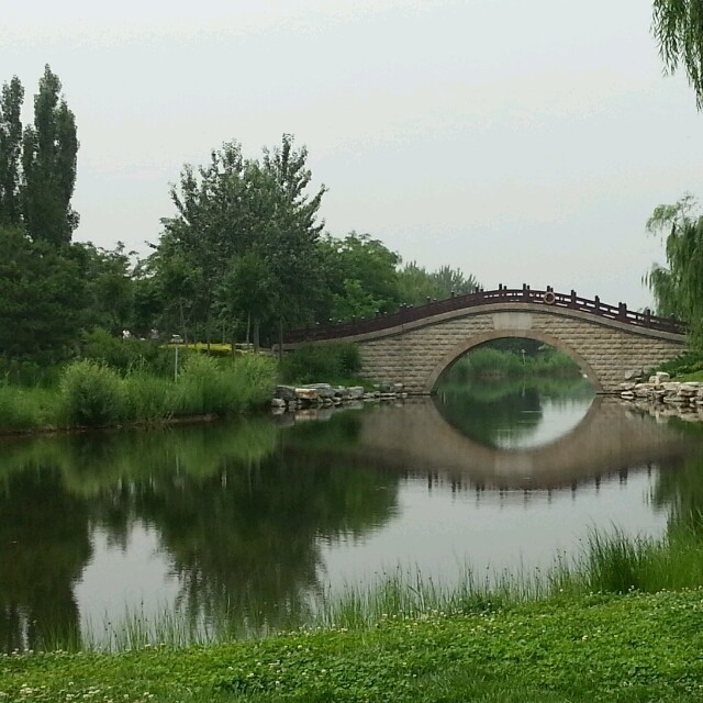 1578781 福提少校