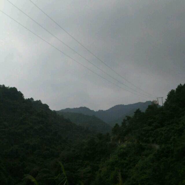 1578950 坚持