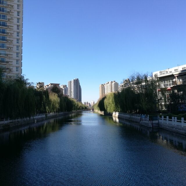 1578966 LN