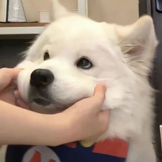 1579189 卍王㊣陽卐