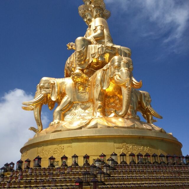 1579663 龙在江湖