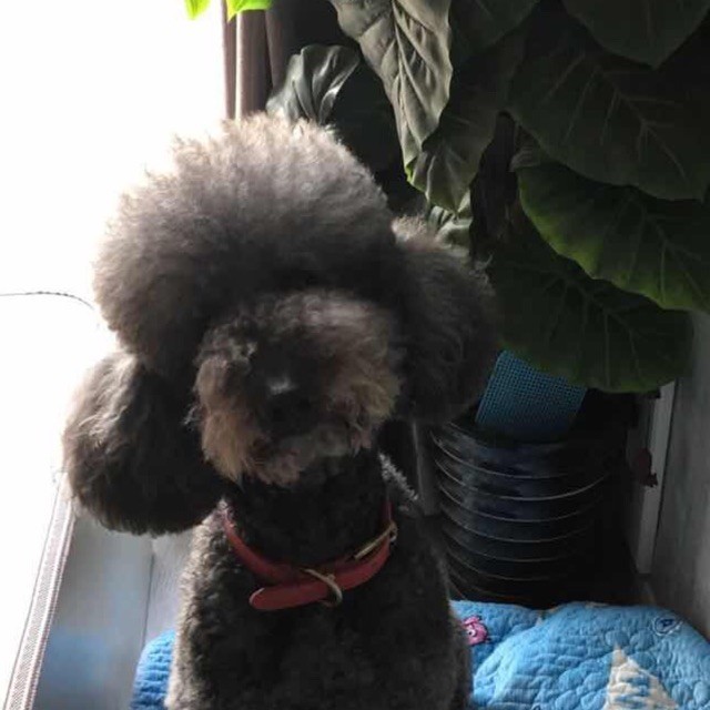 1580210 零下八度