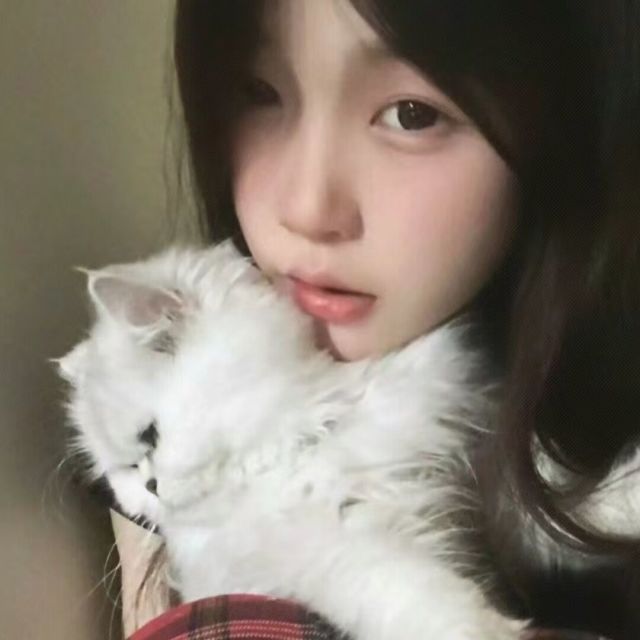 1580340 XIXI