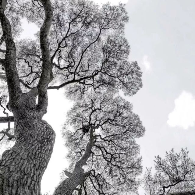 1581041 古田溪