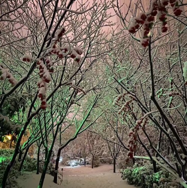 1581503 你想咋滴