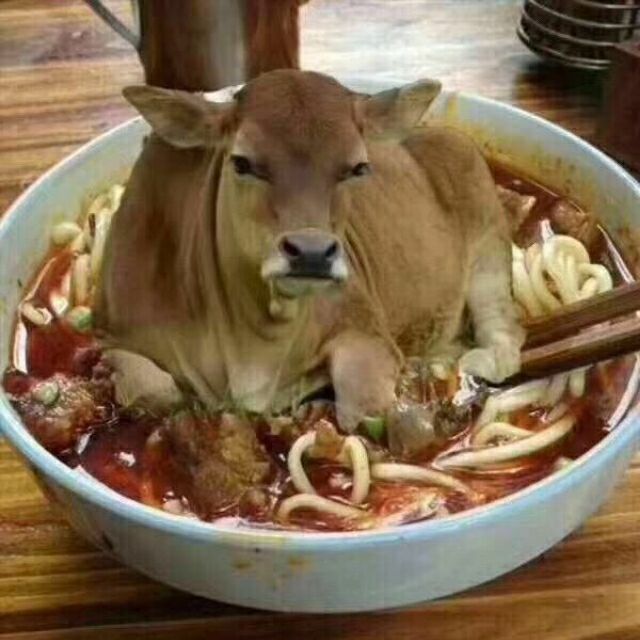 1581895 看时光飞逝