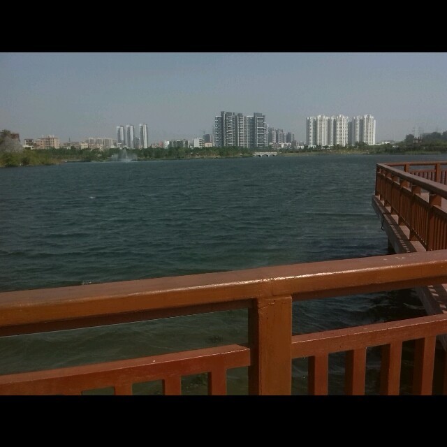 1582155 海枫