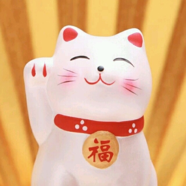1583309 无心青蛙