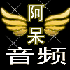 1583336 阿呆音频设备