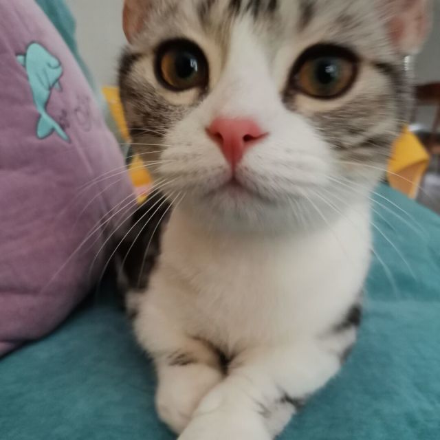 1583552 郑江南