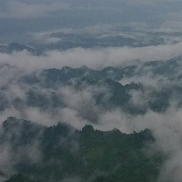 1583728 总有个人是爱的彼岸