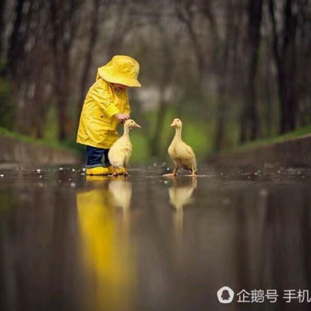 1583734 【子瑜❤ミ】