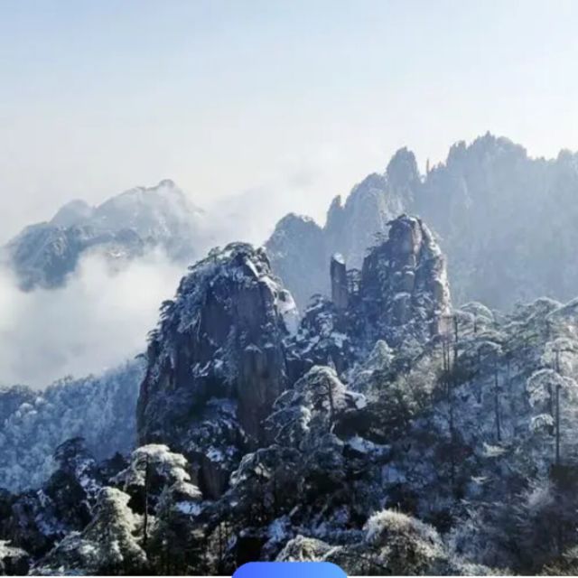 1583853 乡下青椒