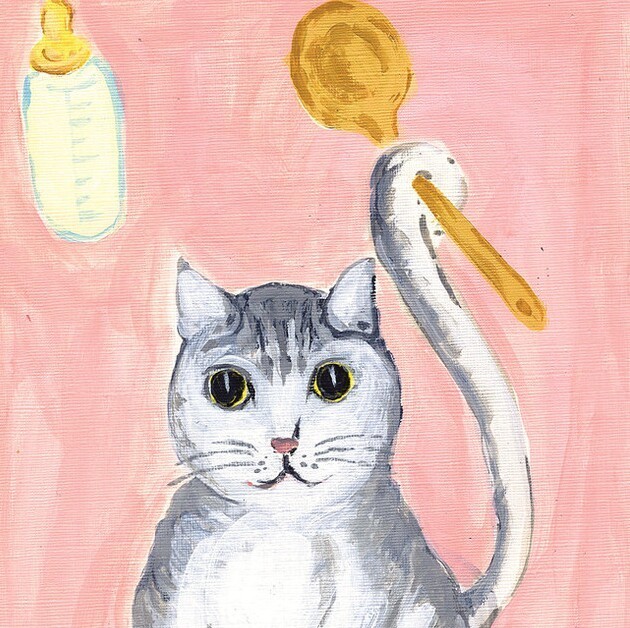 1584395 失忆猫