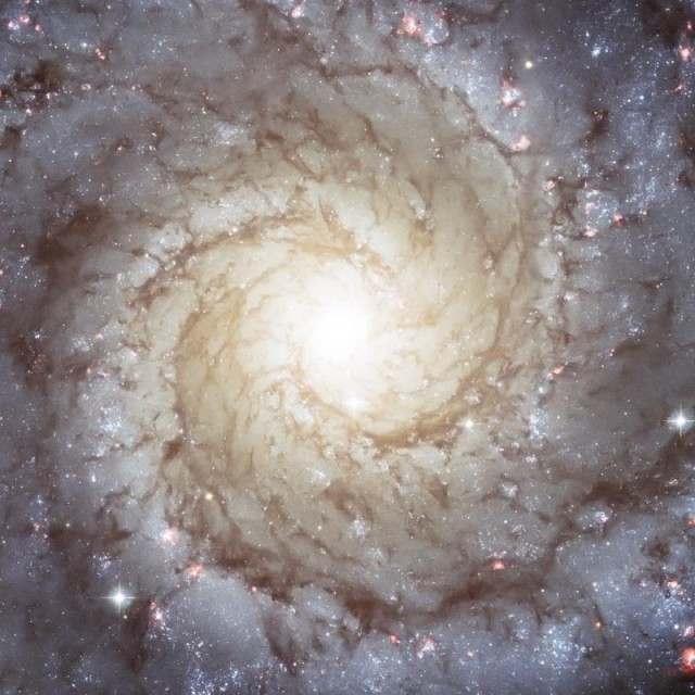 1584844 ·★．☆·``