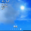 1584888 枫树