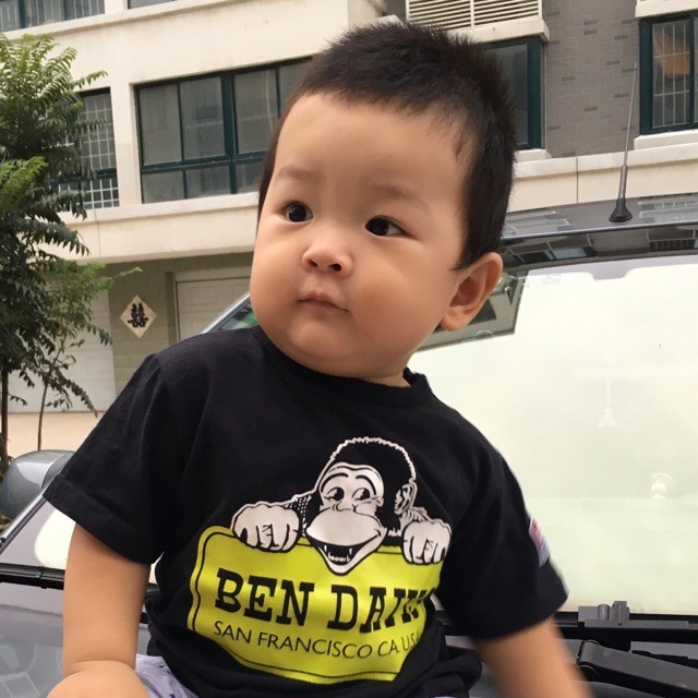 1585916 观海听涛